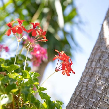 La Lantana Villa Марина ди Рагуса Екстериор снимка