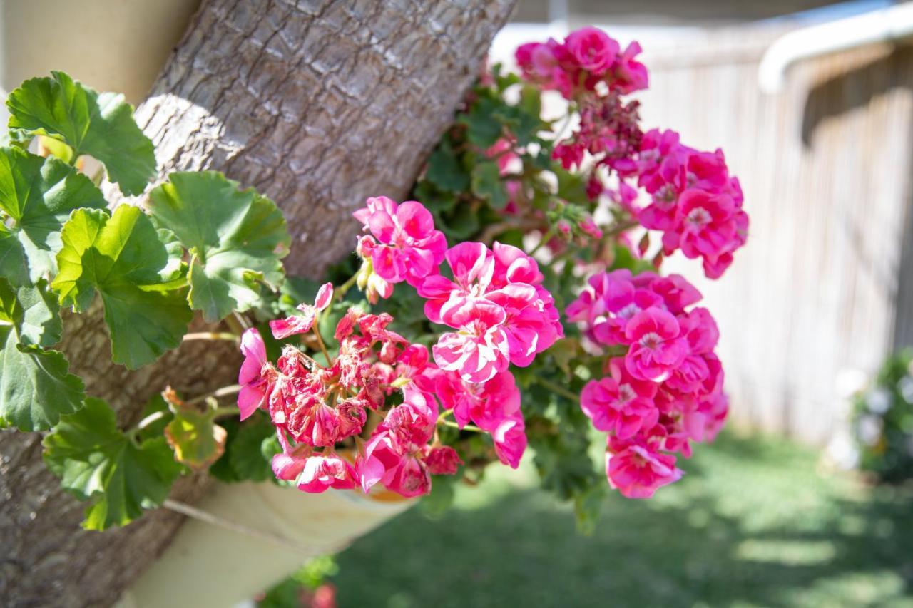 La Lantana Villa Марина ди Рагуса Екстериор снимка